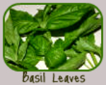 Basil Leaves 