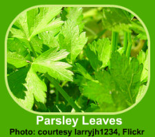 Recipes using fresh herbs like parsley