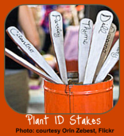 Indoor Gardening Gift-Plant Stakes