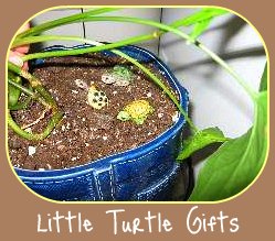 Little garden animal sculptures Little garden animal sculptures