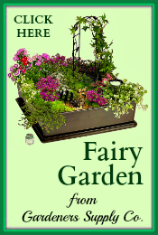 Fairy Garden Gardeners Supply