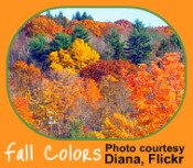 Autumn changes reflected in the Indoor Garden Calendar