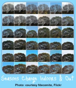 Garden Calendar through the Seasons