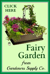 Fairy Garden Gardeners Supply