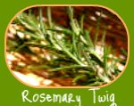 Rosemary twig