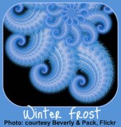 Winter Garden Calendar-Frosted Window